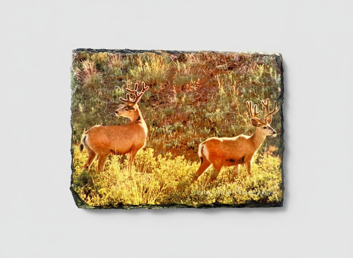 Sublimation Slate Picture