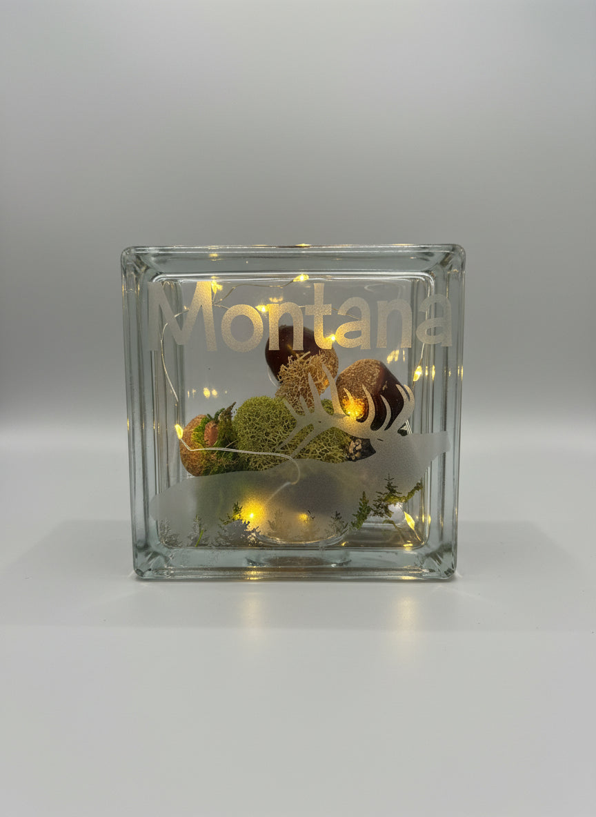Glass block with 'Montana' engraving and embedded lights, held against a wooden surface.