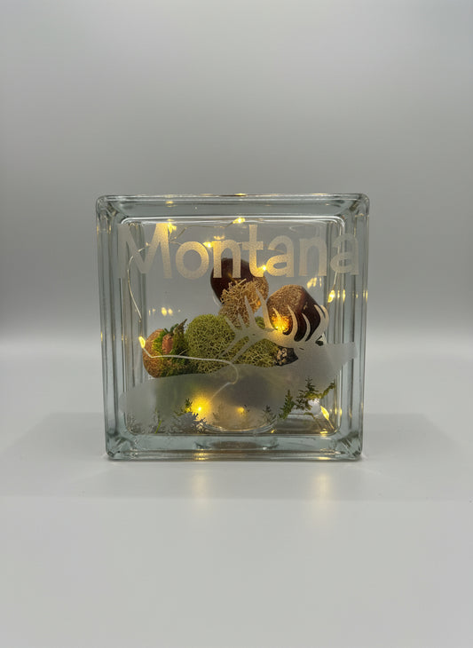 Glass block with 'Montana' engraving and embedded lights, held against a wooden surface.