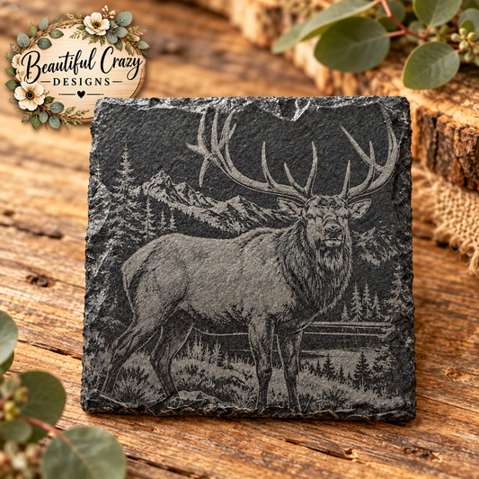 Bull Elk