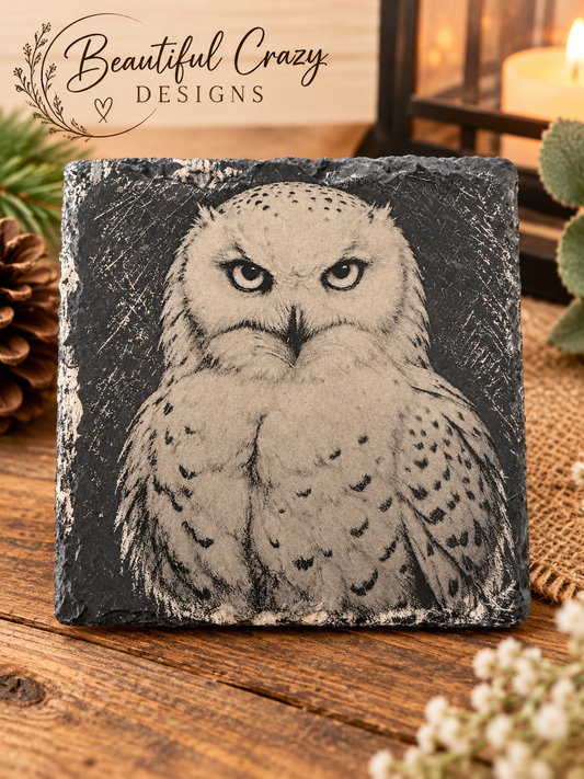 Snow Owl